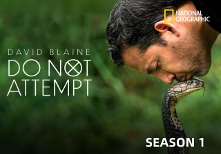 [14+][★★★★] David Blaine: Do Not Attempt《魔术师大卫：请勿尝试》第1季 [全6集][1080P][MKV]-鸡娃资源网